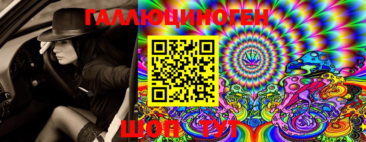 Псилоцибиновые грибы Psilocybe  Вход с VPN  Галлюциногенные грибы Psilocybe  Зерноград 